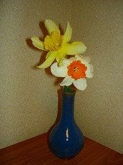 DSC01277_blog.jpg