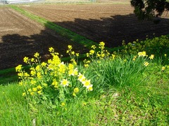 DSC01279_blog.jpg