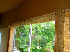DSC01300_blog.jpg