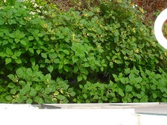 DSC01301_blog.jpg