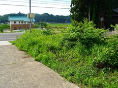DSC01310_blog.jpg