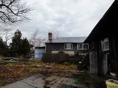 DSC01345_blog.jpg