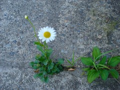 DSC01345_blog.jpg