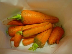 DSC01352_blog.jpg