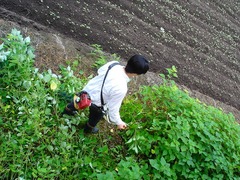 DSC01352_blog.jpg