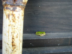DSC01359_blog.jpg