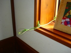 DSC01380_blog.jpg
