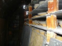 DSC01528_blog.jpg