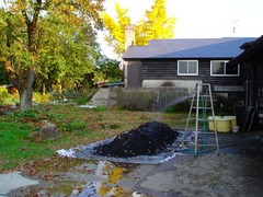 DSC01552_blog.jpg