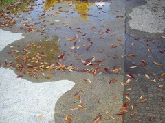 DSC01553_blog.jpg