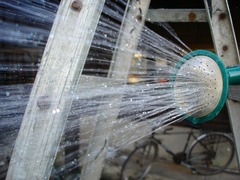 DSC01554_blog.jpg