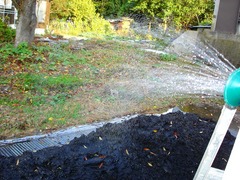 DSC01555_blog.jpg