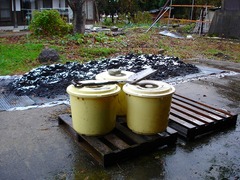 DSC01568_blog.jpg