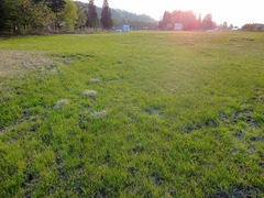 DSC01619_blog.jpg