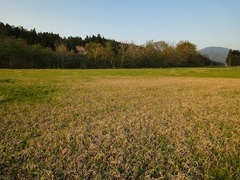 DSC01620_blog.jpg