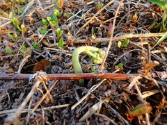 DSC01622_blog.jpg