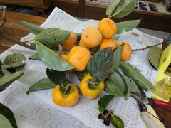 DSC01756_blog.jpg