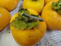 DSC01758_blog.jpg