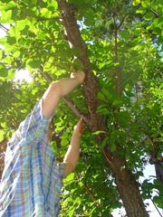 DSC01758_blog.jpg