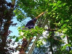DSC01759_blog.jpg