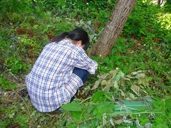 DSC01760_blog.jpg