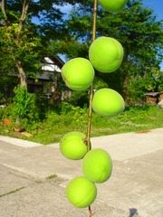 DSC01761_blog.jpg