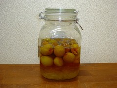DSC01765_blog.jpg