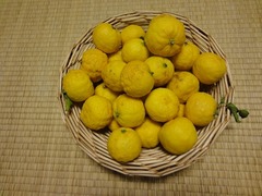 DSC01897_blog.jpg