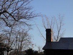 DSC01903_blog.jpg