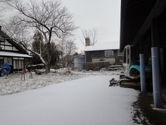 DSC01917_blog.jpg