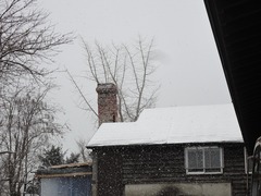 DSC01919_blog.jpg
