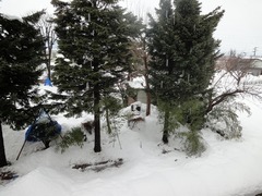 DSC01993_blog.jpg