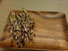 DSC02035_blog.jpg