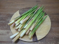 DSC02106_blog.jpg