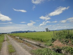 DSC02183_blog.jpg