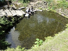 DSC02186_blog.jpg