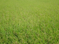 DSC02200_blog.jpg