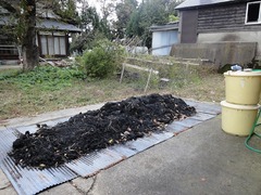 DSC02280_blog.jpg