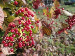 DSC02317_blog.jpg