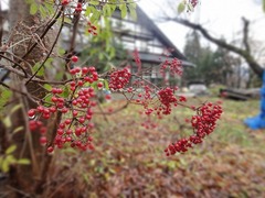 DSC02362_blog.jpg
