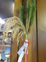 DSC02420_blog.jpg