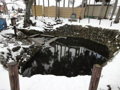 DSC02421_blog.jpg