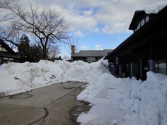 DSC02449_blog.jpg