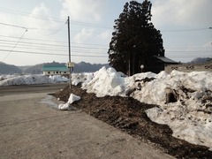 DSC02458_blog.jpg