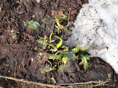 DSC02459_blog.jpg