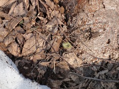 DSC02461_blog.jpg