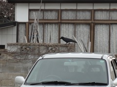 DSC02477_blog.jpg