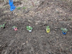 DSC02503_blog.jpg