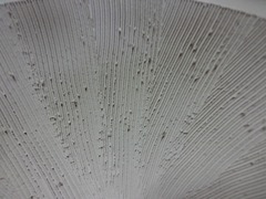 DSC02504_blog.jpg