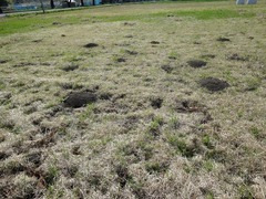 DSC02570_blog.jpg